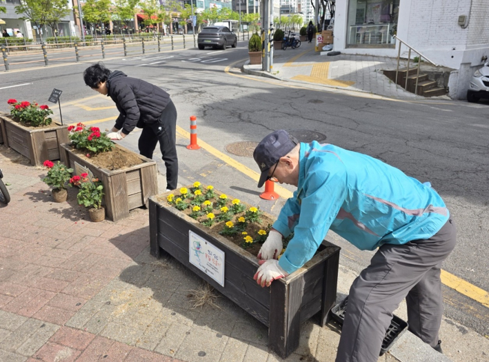 고등동 초화식재 중인 모습