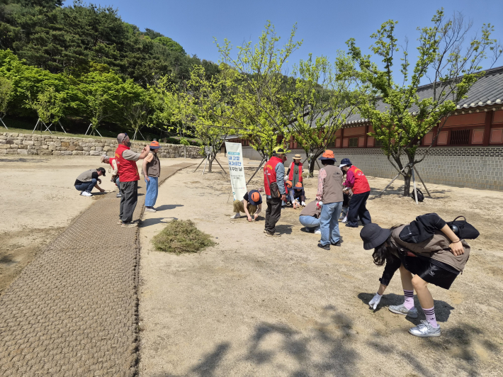 '내 고장 국가유산 가꾸는 날' 행사에 참여한 지킴이들이 별주에서 잡초제거 작업을 하고있다.