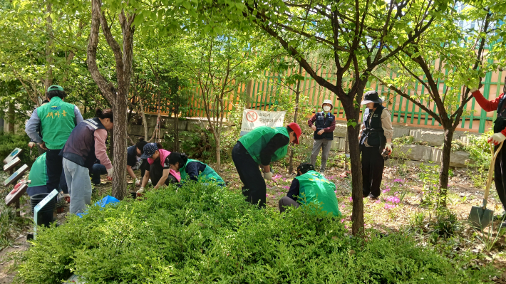 새마을지도자협의회 등 주민들이 꽃심기를 하고 있다.