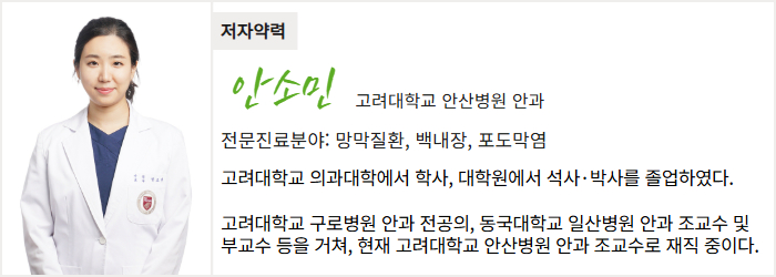 고려대학교 안산병원 안과 안소민 교수