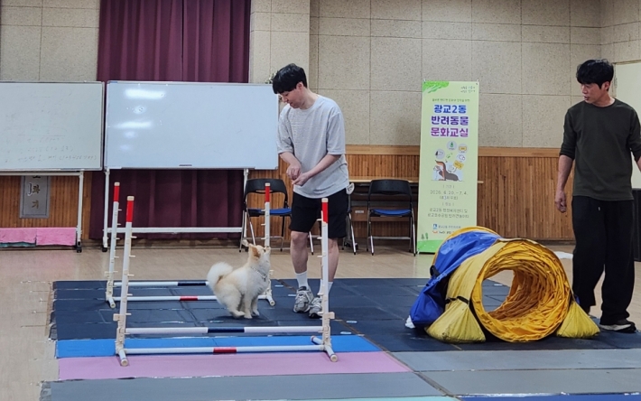 반려동물 문화교실 수업 장면