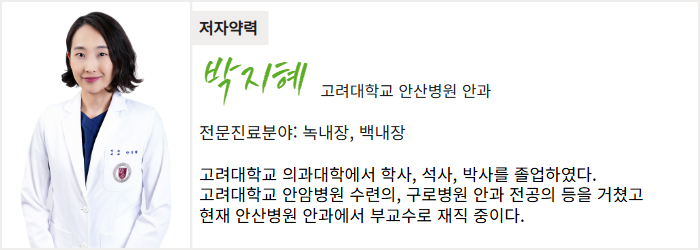 고려대학교 안산병원 안과 박지혜 교수