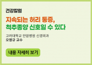 지속되는 허리 통증, 척추종양 신호일 수 있다