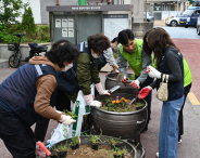 지난 11일, 매탄4동 행정복지센터에서 관내 가로변 대형화분에 화초를 식재하고 있다.