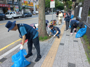 담배꽁초를 줍고 잡초를 제거하고 있다. 