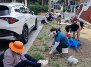 주민들이 함께 도로에 무성하게 자란 잡초를 제거하고 있다.  