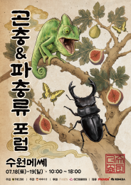 곤충&파충유 포럼 홍보 포스터(출처 : 메쎄이상 홈페이지)