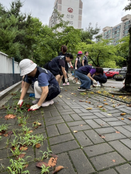 제초 작업 사진