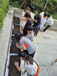어린이들이 상자 텃밭에서  강낭콩 씨앗을 심고 있다.