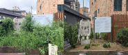 사진 1) 행궁동 통장협의회가 실시한 나혜석생가터 환경정비 전·후 모습(잡초 제거 전/ 후)