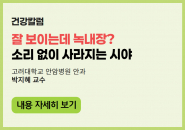 잘 보이는데 녹내장? 소리 없이 사라지는 시야