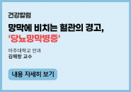 망막에 비치는 혈관의 경고, '당뇨망막병증'