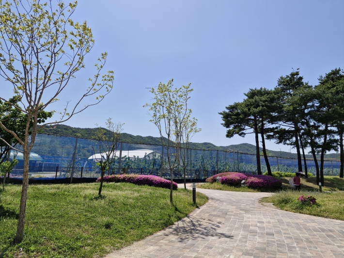 아파트 후문을 나서면 보이는 풍경. 과수공원 뒤로 칠보산이 보인다. 