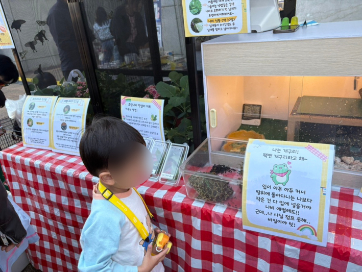 생태 체험 부스에서 개구리와 나비를 관찰하는 어린이 모습.