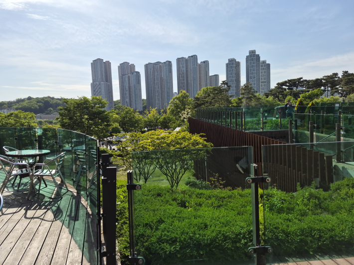 광교호수공원 푸른숲도서관 인근