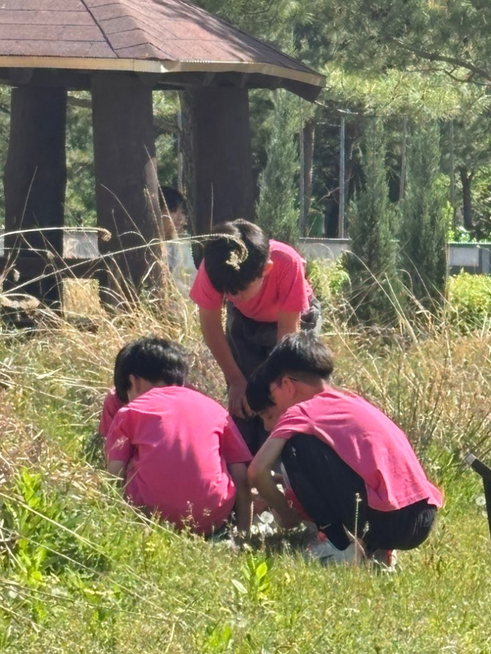지성 공원에서 삼삼오오 모여 동식물을 관찰하고 있는 학생들