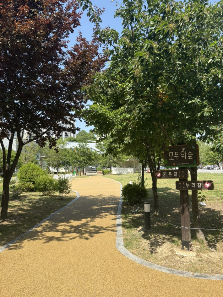 창룡도서관 마당 산책로
