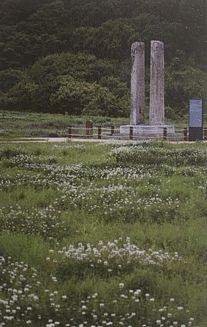 이선주_보원사지,충남_2025