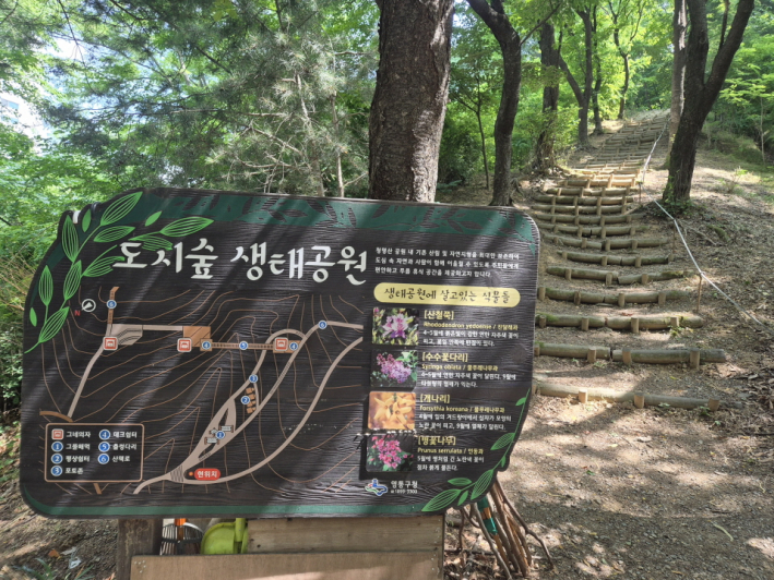 생태공원과 숲길이 어우러진 청명산, 시민들의 휴식처를 만나다.