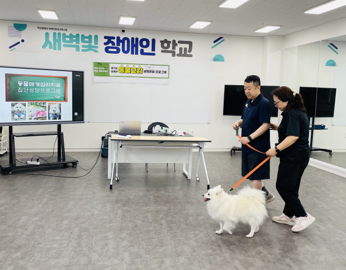 도우미견과 실내 산책하기