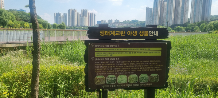 생태계 교란 야생 생물 안내문