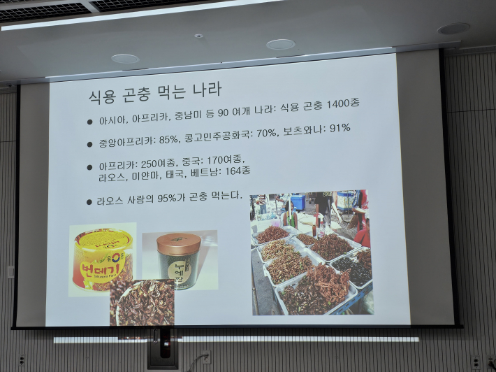 곤충을 식용으로 하는 나라들