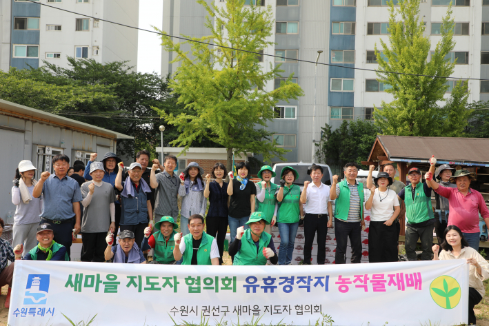 권선구 새마을지도자협의회 '사랑의 감자 수확'행사 개최