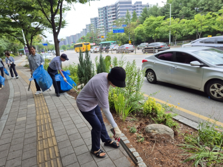 도로변 손바닥 정원과 인도 및 주택단지 사이 완충녹지 구간을 중심으로 환경정비를 실시했다.