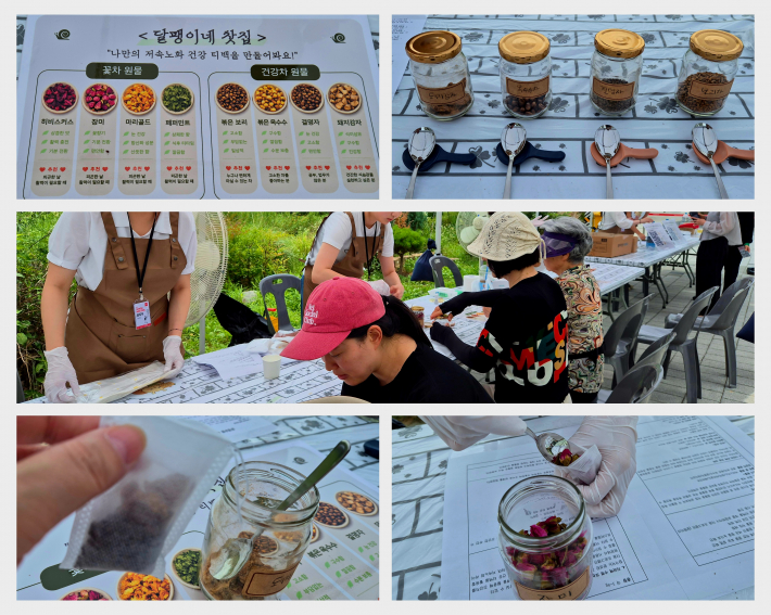 달팽이네 찻집 체험