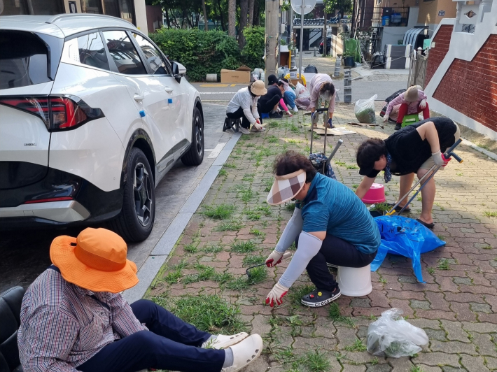 주민들이 함께 도로에 무성하게 자란 잡초를 제거하고 있다.  