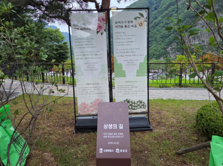 수원시와 봉화군 상생으로 조성된 '청량산 수원캠핑장'  