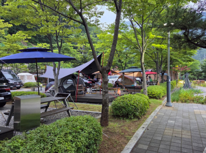 청량산 수원캠핑장 '데크야영장'  