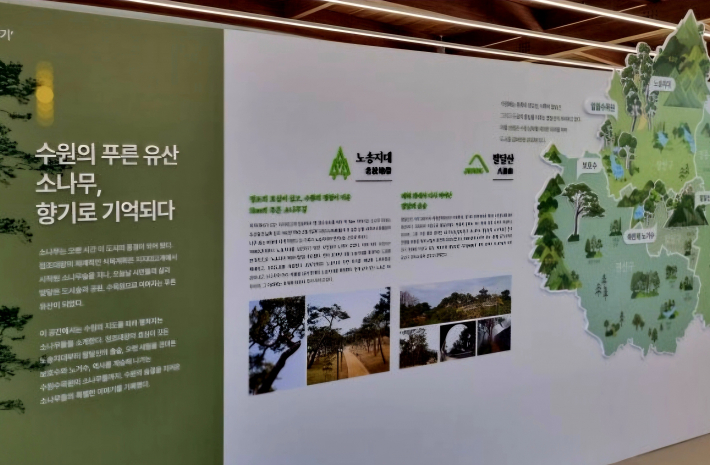 소나무의 향기 전시 모습