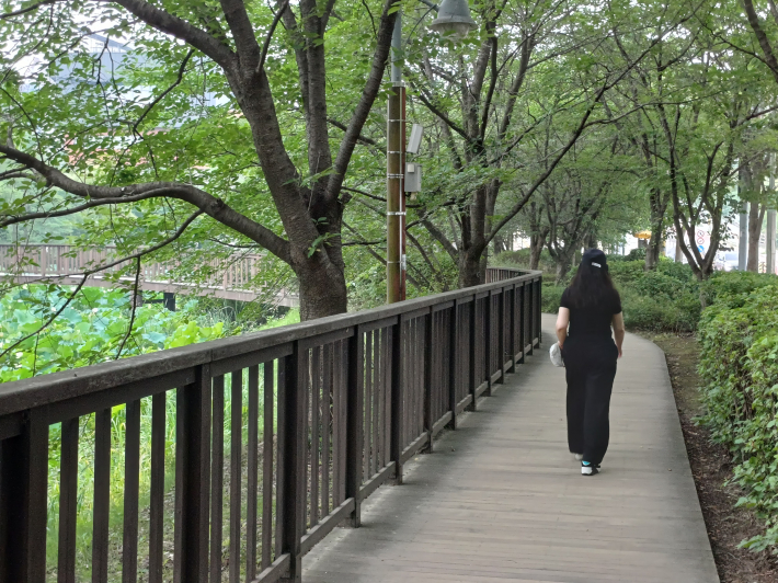 구름다리 산책길