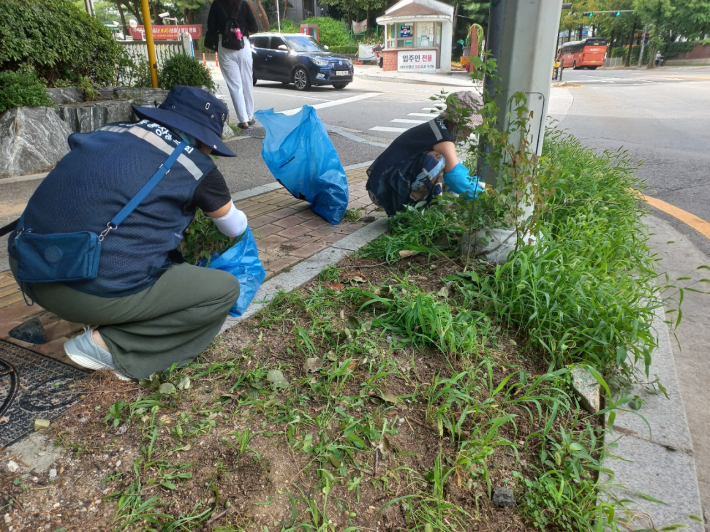 보도변에서 제초작업을 실시하고 있다.