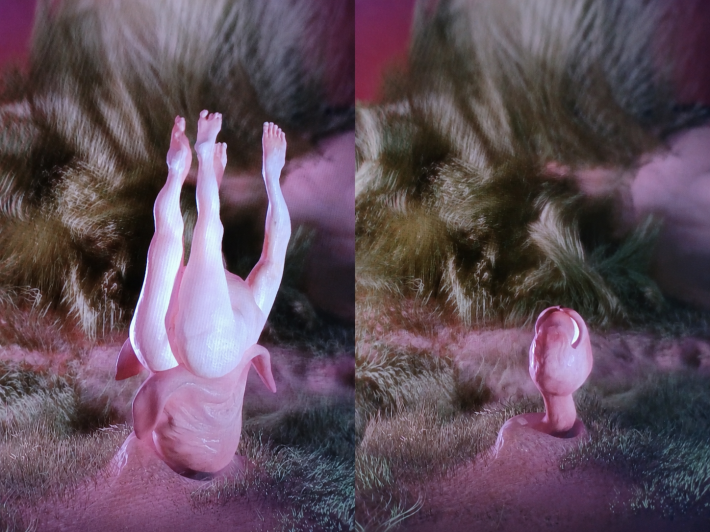 '새싹들의 춤'  영상