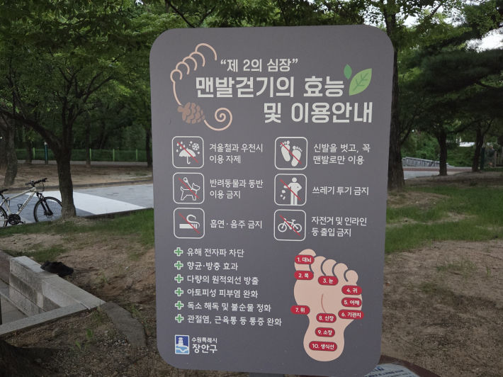 맨발 걷기 효능