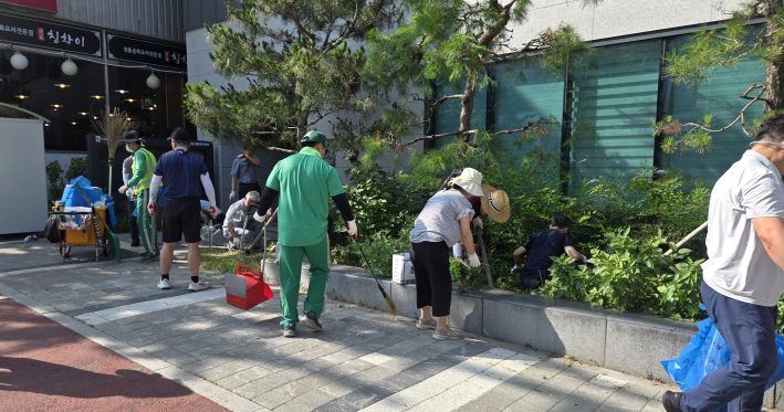 화단 안쪽까지 들어가  잡초를 뽑아내며 쾌적한 거리 조성을 위해 힘쓰고 있다.