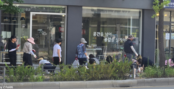 보도블럭 사이사이와 상가 앞 화단의 집초를 제거하고 있다.
