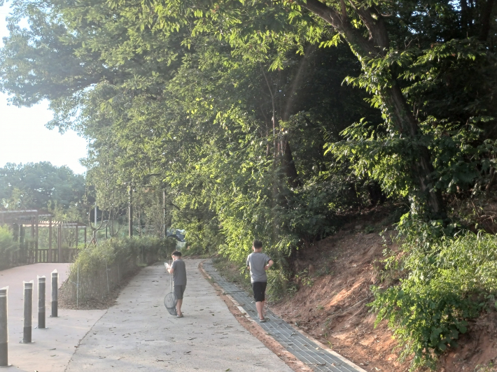 초등학생의 곤충관찰·채집하는 모습