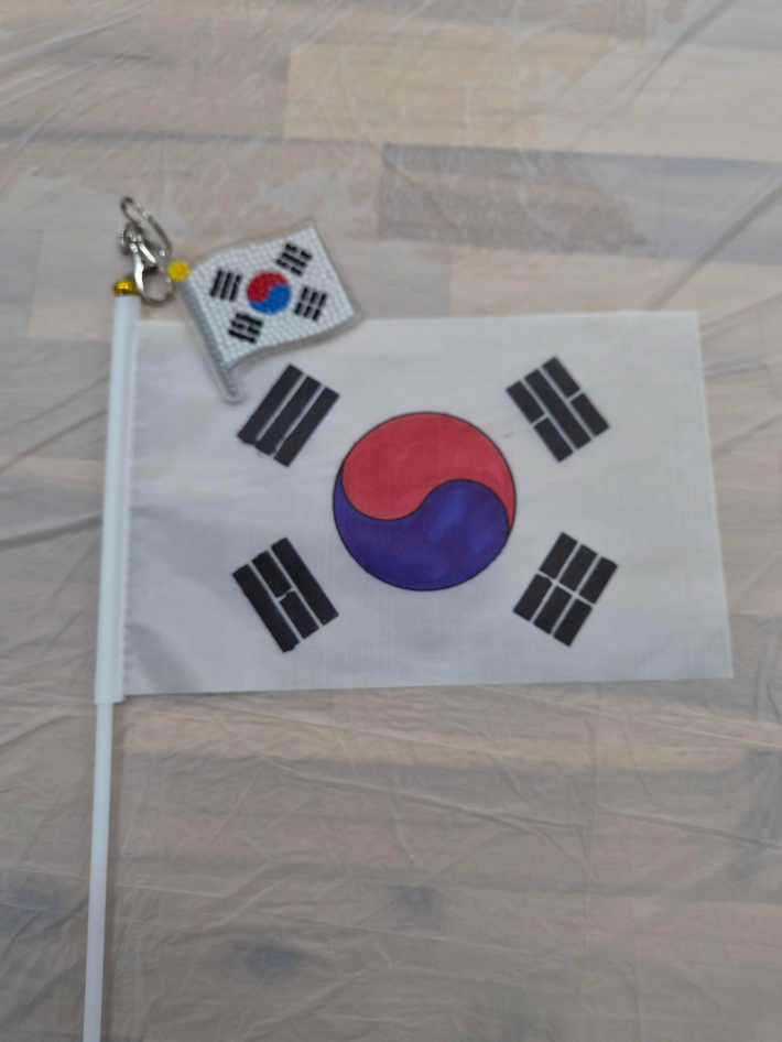 체험에 참여한 초등학생들은 직접 태극기를 그리고, 태극기 키링을 만들었다.