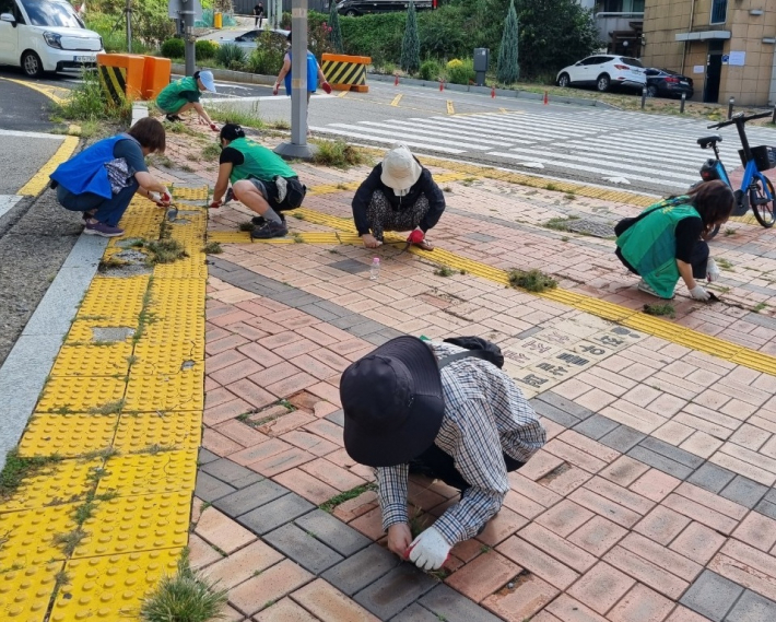 조원2동 단체원과 주민들이 여름철 급격히 자란 보행로 주변 잡초를 집중적으로 제거하고 있다.