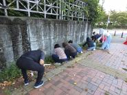 주민들이 여름철 무성히 자란 잡초를 제거하고 있다.