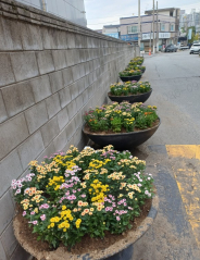신동 일대 도로변 화단 정비 및 초화류 식재로 쾌적한 마을환경 조성