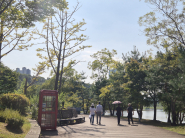 아직 초록빛이 남은 나무 아래로 낙엽이 쌓여, 단풍을 기다리는 광교호수공원의 늦여름과 초가을 사이를 보여준다.