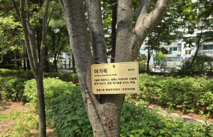 이름표를 단 마가목