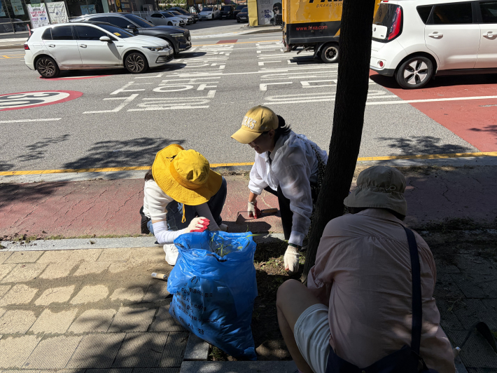 제초 작업