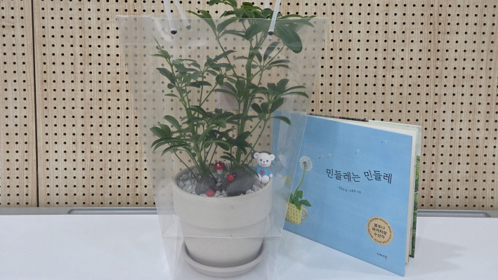 반려식물 홍콩야자, 그림책 민들레는 민들레