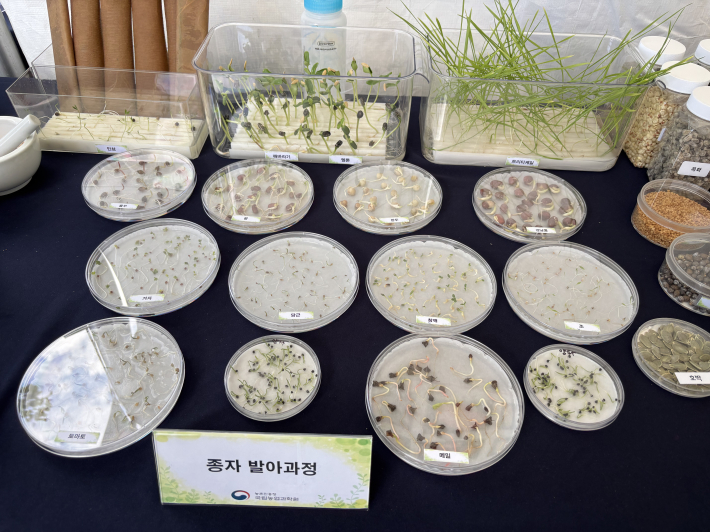 다양한 종자 발아 과정