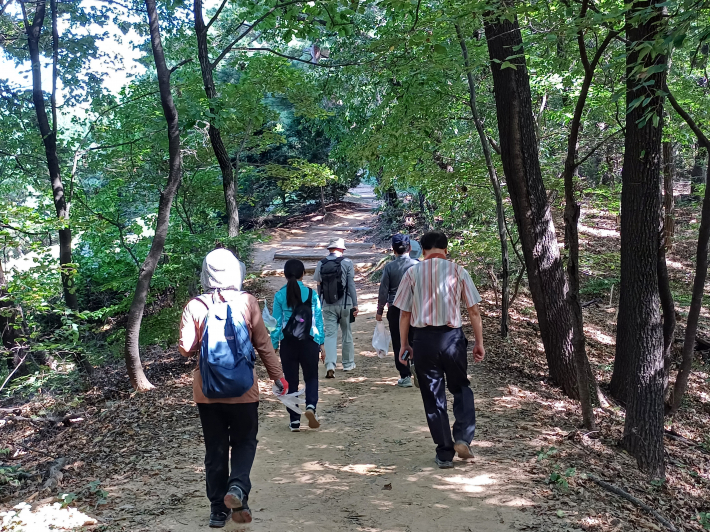덕성산 숲길 전경